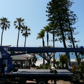 Primo Palms, Inc. - Nurseries & Gardening Near Me - Fallbrook, California Primo Palms, Inc. - Nurseries & Gardening Near Me - Fallbrook, California
