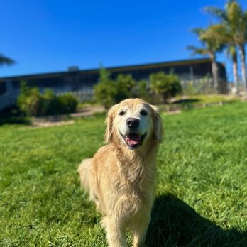 Lucky Dog Pet Resort - Arroyo Grande families trust us for personalized dog care and private enrichment. Dog Boarding Arroyo Grande - Pet Sitting Near Me - Nipomo, California Lucky Dog Pet Resort - Arroyo Grande families trust us for personalized dog care and private enrichment. Dog Boarding Arroyo Grande - Pet Sitting Near Me - Nipomo, California