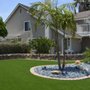 Photo of Lawn Universe