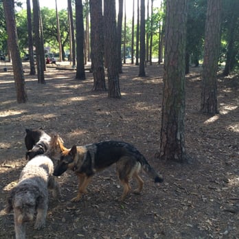 Daffin Park - Dog Parks Near Me - Savannah, Georgia