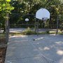 Photo of Paterson Park