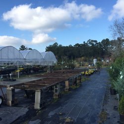 Frasier's Nursery & Florist