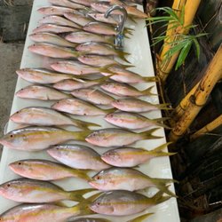 Iggie's Bait & Tackle
