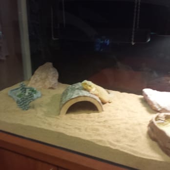 Woolaver Orthodontics - There's even a little four legged friend hanging out! - Orthodontists Near Me - Phoenix, Arizona Woolaver Orthodontics - There's even a little four legged friend hanging out! - Orthodontists Near Me - Phoenix, Arizona
