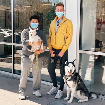 Michael Hill Dog Training - My rescue dog is a Husky who is very sweet and intelligent but would become reactive and difficult to manage passing other dogs on walk. - Pet Training Near Me
