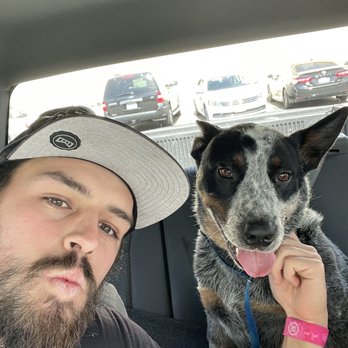 Veterinary Emergency Center - The ride home from the vet--RECOVERING and HAPPY! - Veterinarians Near Me - Redlands, California