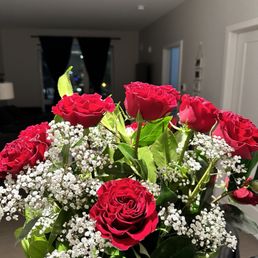 Red Roses Red Roses