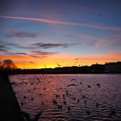 Søerne - Solnedgang ved søerne kan anbefales!