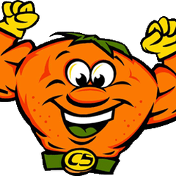 CitruSolution - Citrusolution and the Big Orange Guy!
