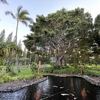 The Banyan Tree - Banyan tree - Seafood Near Me - Kapalua, Hawaii