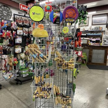 Beast Buffet - Pet Stores Near Me - Monroe, Wisconsin