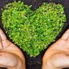 Rochelle Davis - Complete Wellness gift card