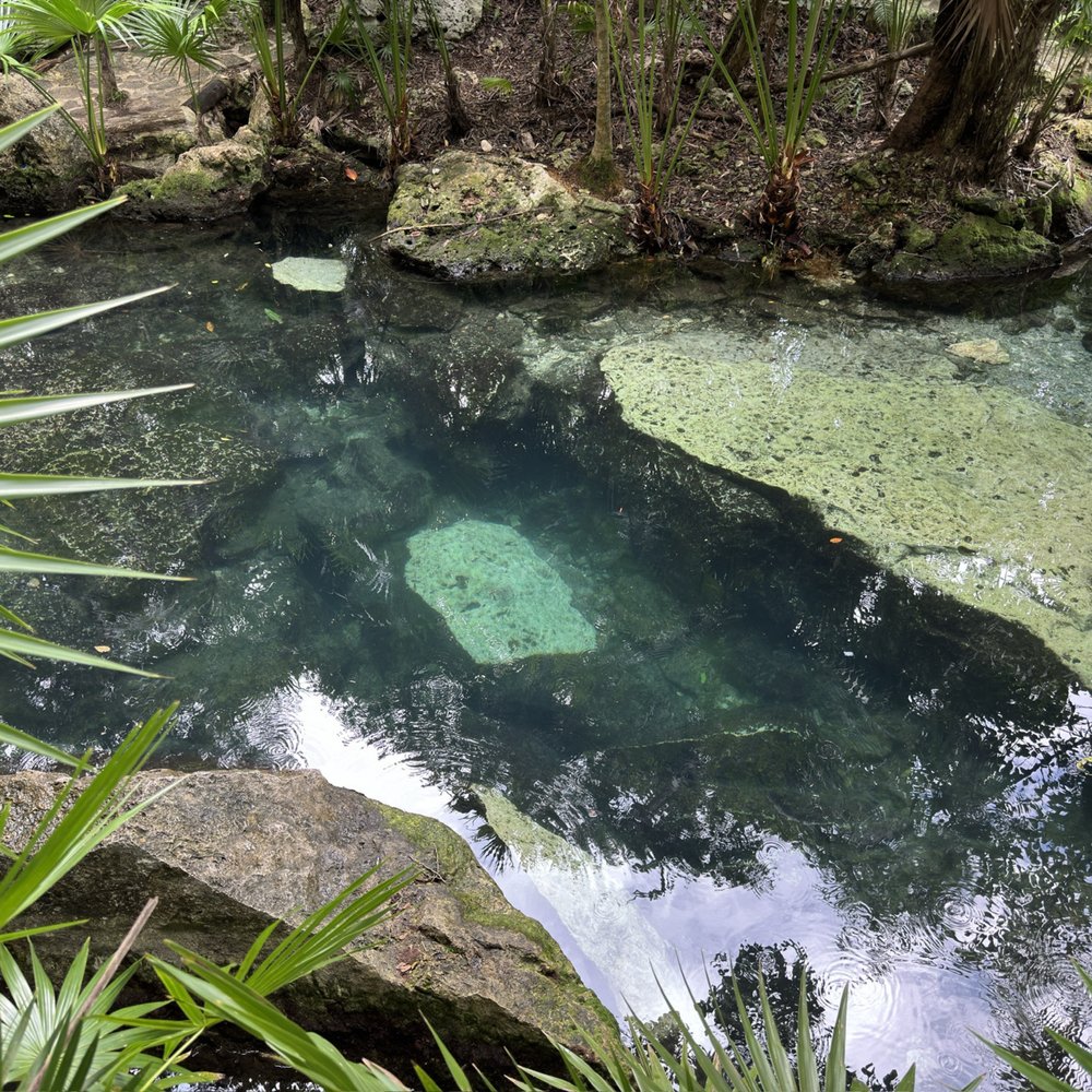 Azul Cenote - Hiking Near Me - Playa del Carmen, ROO
