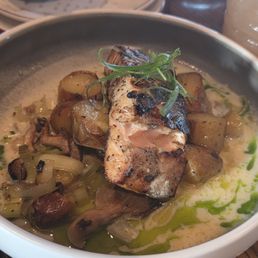 Salmon