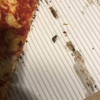 Table 87 - Gowanus - Where roach was found - Pizza Near Me - Brooklyn, New York