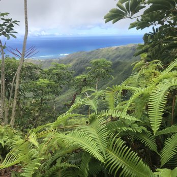 Kuliouou Ridge Trail - Hiking Near Me - Honolulu, Hawaii Kuliouou Ridge Trail - Hiking Near Me - Honolulu, Hawaii