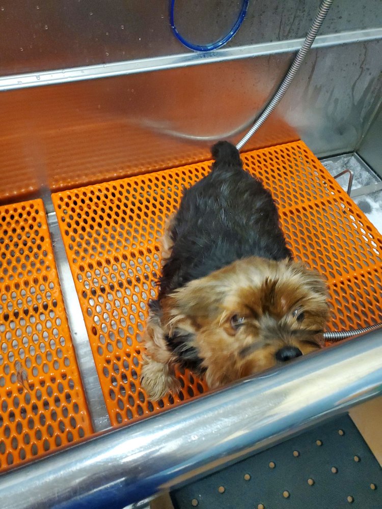 FEEDERS SUPPLY Updated September 2024 128 Midland Blvd, Shelbyville