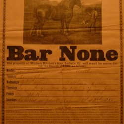 Mitchell's Grove Nature Preserve - British Draft Stallion - BarNone 1890