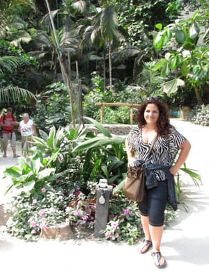 Eden Project by null