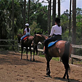 Casperey Stables - Riding in the arena - Horseback Riding Near Me - Loxahatchee, Florida Casperey Stables - Riding in the arena - Horseback Riding Near Me - Loxahatchee, Florida