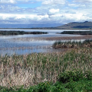 Lava Beds National Monument - Marshes at the edge of Tule Lake - Landmarks & Historical Buildings Near Me - Tulelake, California