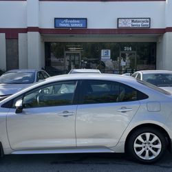 Avalon Transportation Service