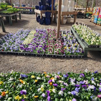 Troys Garden Nurseries - Landscaping Near Me - Bedford, New York