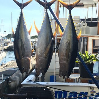 Magic Sport Fishing - Ahi yellow fin tuna - Boating Near Me - Honolulu, Hawaii