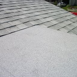 Slide of Dr Roof of Tampa Bay