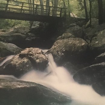 Anna Ruby Falls - Hiking Near Me - White, Georgia Anna Ruby Falls - Hiking Near Me - White, Georgia