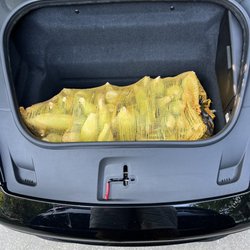 Bolt Sweet Corn - Bushel of corn