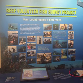 Reef Ocean Exploration Center - Volunteer survey project - Visitor Centers Near Me - Key Largo, Florida Reef Ocean Exploration Center - Volunteer survey project - Visitor Centers Near Me - Key Largo, Florida