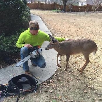 Thornton's Tree Service - Tree Services Near Me - Gray, Georgia