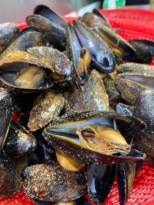 Angel Fish Market by null