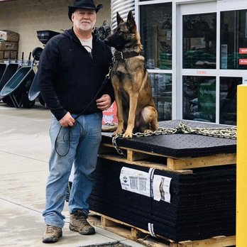 Von Hochland K9 - Socialization work with K9 Karma - Pet Training Near Me Von Hochland K9 - Socialization work with K9 Karma - Pet Training Near Me