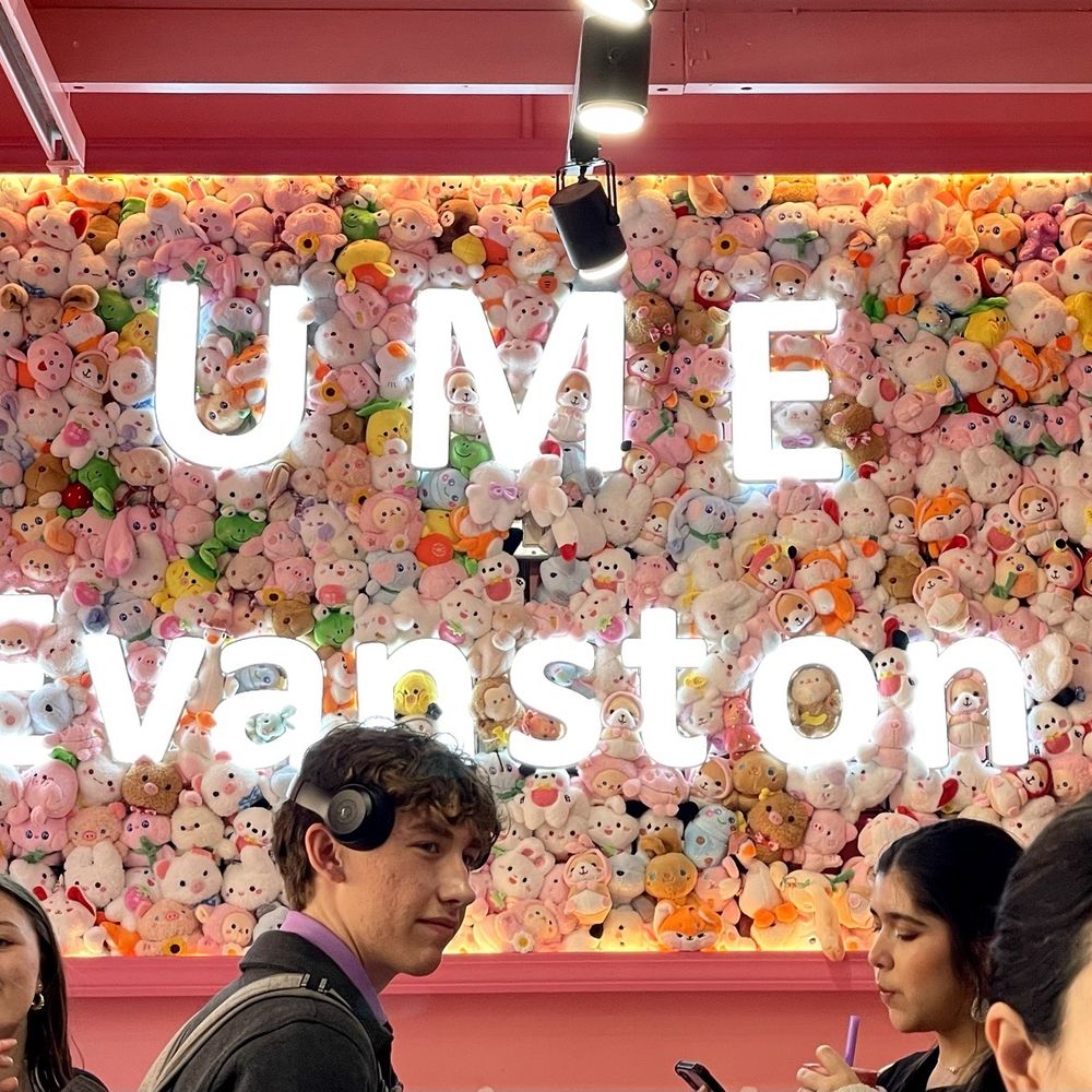 Ume Tea - Wall of plushies. - Bubble Tea Near Me - Evanston, Illinois Ume Tea - Wall of plushies. - Bubble Tea Near Me - Evanston, Illinois