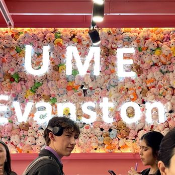 Ume Tea - Wall of plushies. - Colorful plush toys cover the wall with a neon sign spelling 'Ume Evaston' above, while people in the foreground are engaged in conversation and using their phones. - Bubble Tea Near Me - Evanston, Illinois