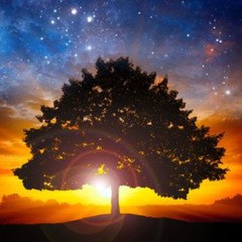 Empowerment Tarot - Supernatural Readings Near Me Empowerment Tarot - Supernatural Readings Near Me