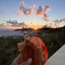 KC Sunshine Grill - KC Cuban Sandwich