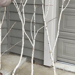 Some of the birch branches they helped select for us.