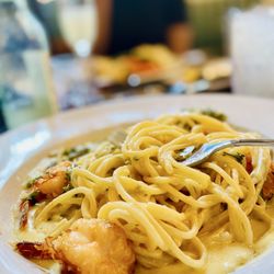 Buona Forchetta - Shrimp Alfredo with Broccolini