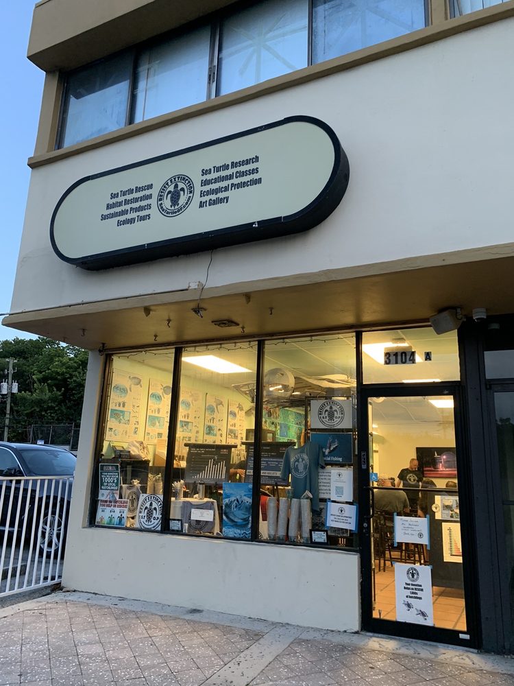Sea Turtle Oversight Protection - social services organization in Fort Lauderdale, FL
