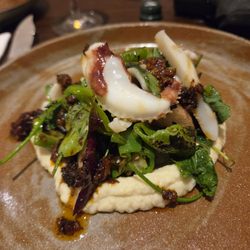 Sur Mer - Cuttlefish