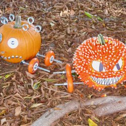 Lunada Bay Harvest Festival - My faves!