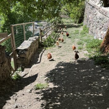 Castel Trostburg - Castles Near Me - Ponte Gardena, BZ