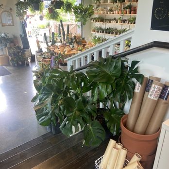 Grow - Nurseries & Gardening Near Me - Charlotte, North Carolina Grow - Nurseries & Gardening Near Me - Charlotte, North Carolina