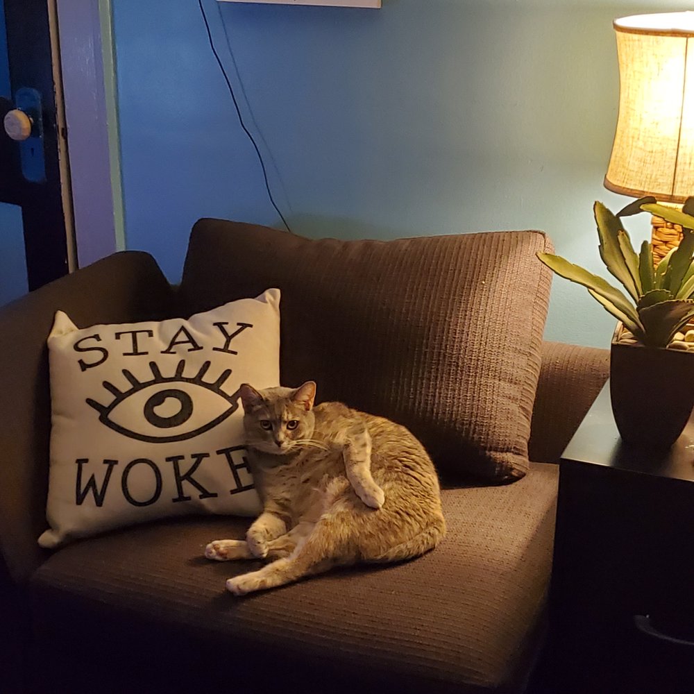 My kitty loves the matching chair!