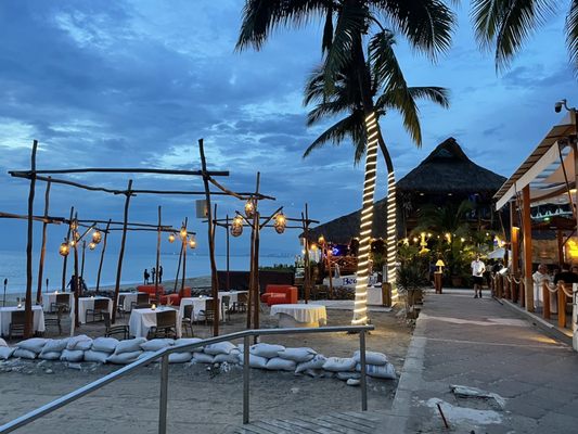 The Blue Shrimp Puerto Vallarta by null