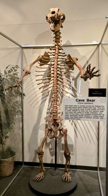 Las Vegas Science & Natural History Museum by null