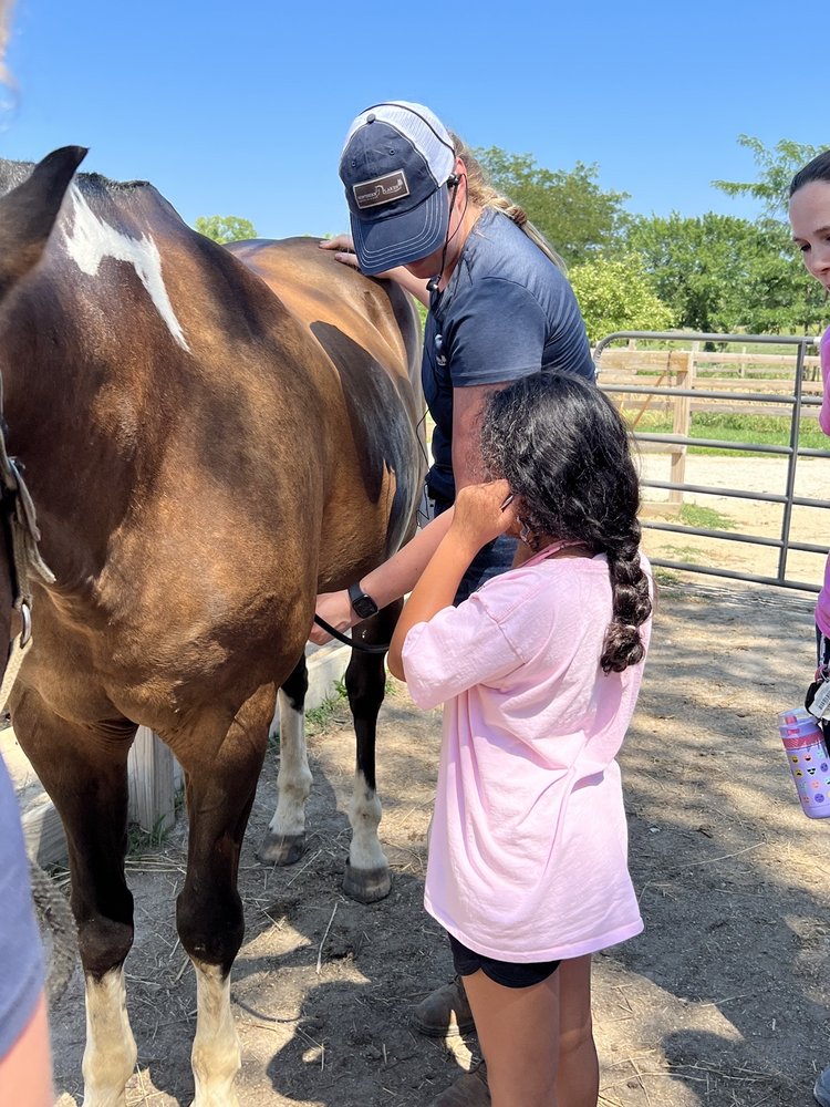 Susanna Farms - equestrian in Lake Villa, IL